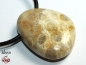 Preview: Fossilized coral on cord