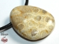 Preview: Fossilized coral on cord