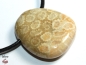 Preview: Fossilized coral on cord