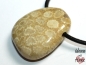 Preview: Fossilized coral on cord