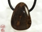 Preview: Fossilized wood on cord