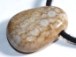 Preview: Fossilized coral on cord