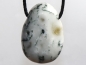 Preview: Tree agate on cord