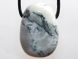 Preview: Tree agate on cord