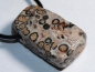 Preview: Leopard rhyolite on cord