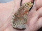 Preview: Fossilized wood on cord