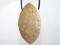 Preview: Fossilized coral on cord