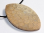 Preview: Fossilized coral on cord