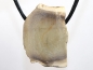 Preview: Fossilized wood on cord