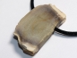 Preview: Fossilized wood on cord