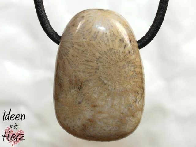 Fossilized coral on cord