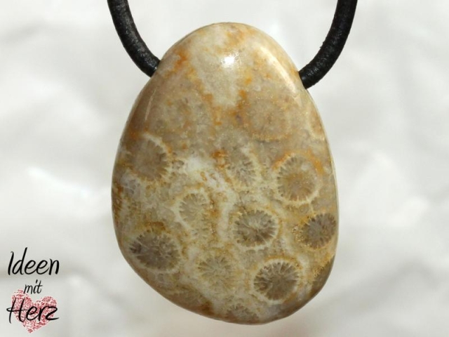 Fossilized coral on cord