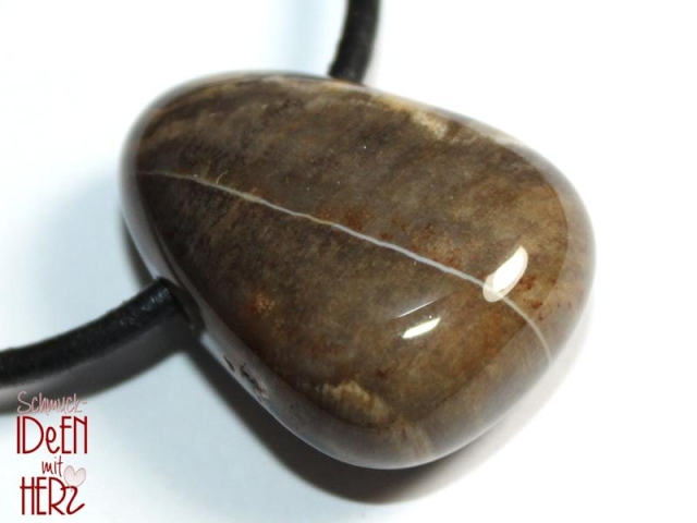 Fossilized wood on cord