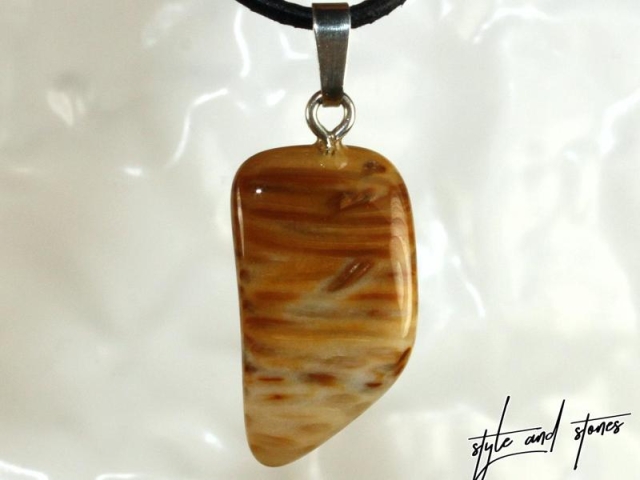 Petrified palm wood on cord