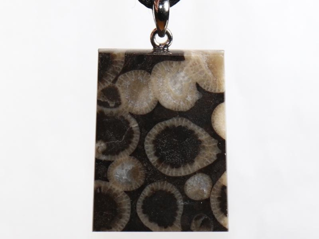 Fossilized coral on cord