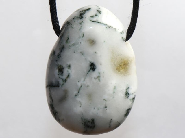 Tree agate on cord