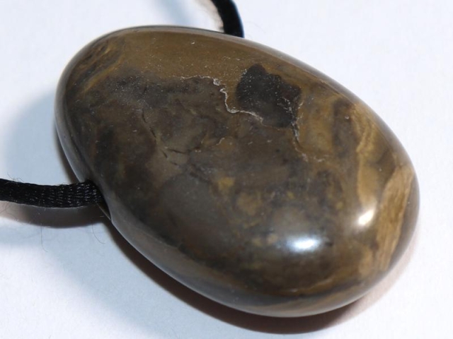 Stromatolite on cord