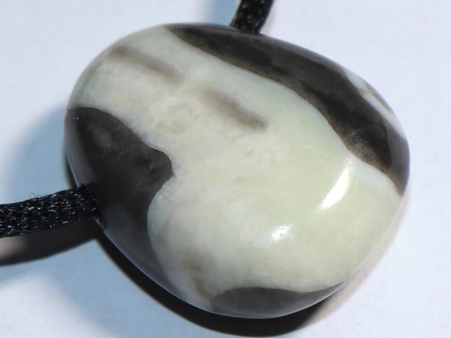 Shell jasper on cord