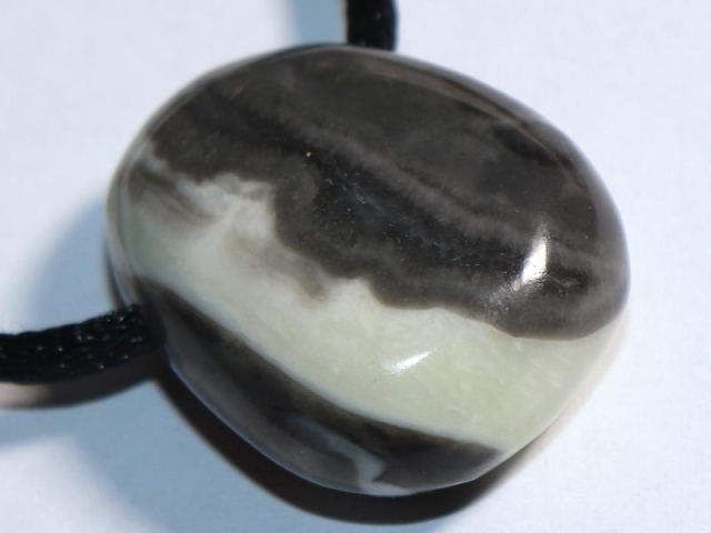 Shell jasper on cord