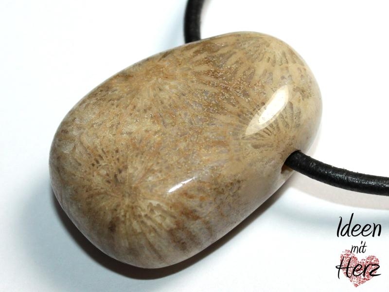 Fossilized coral on cord