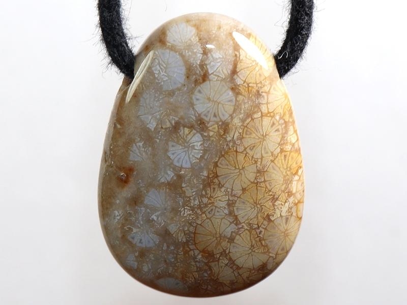 Fossilized coral on cord