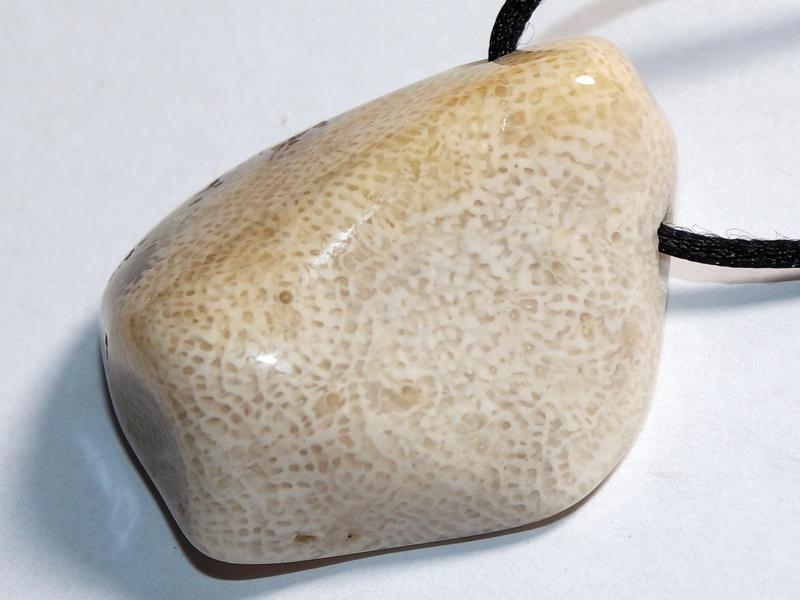 Fossilized coral on cord