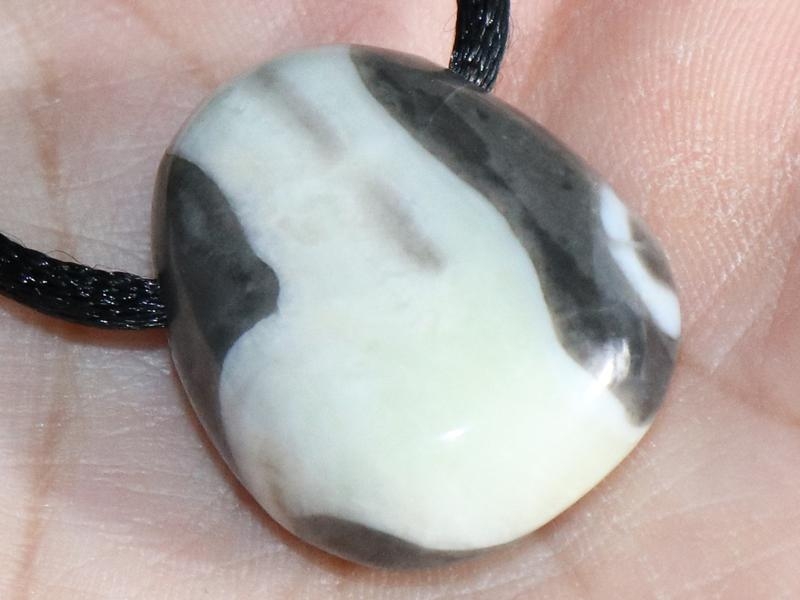 Shell jasper on cord