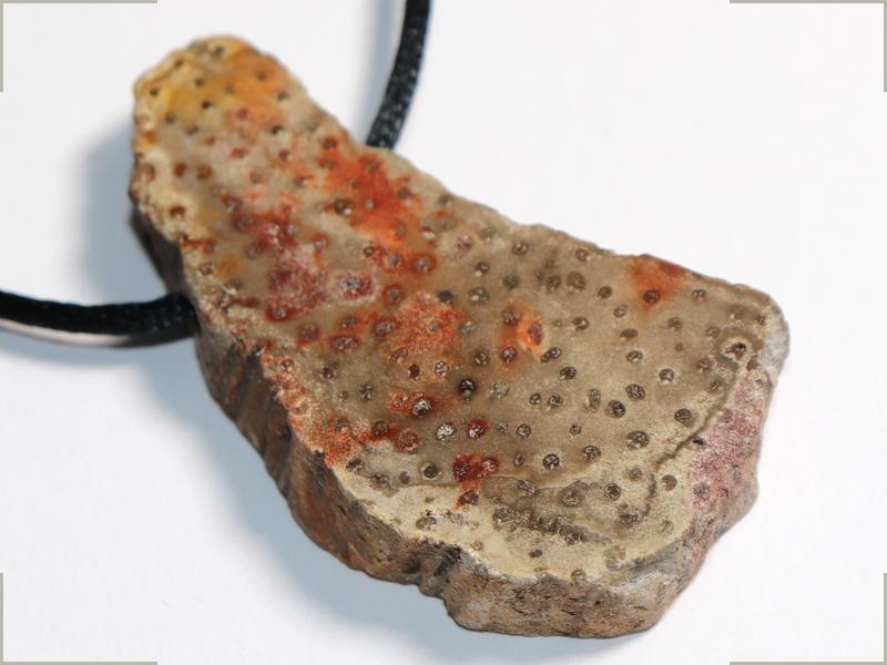 Fossilized wood on cord