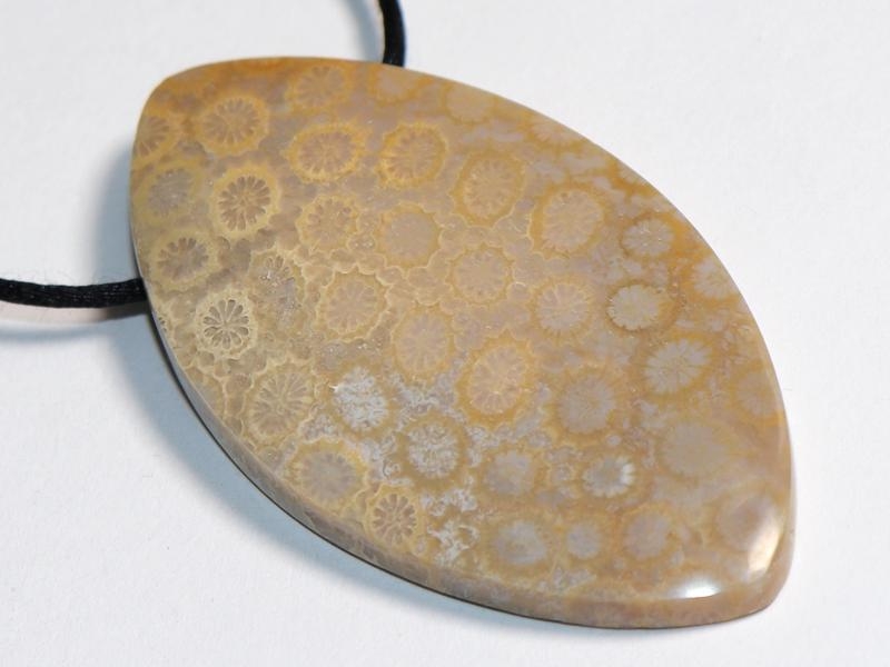 Fossilized coral on cord