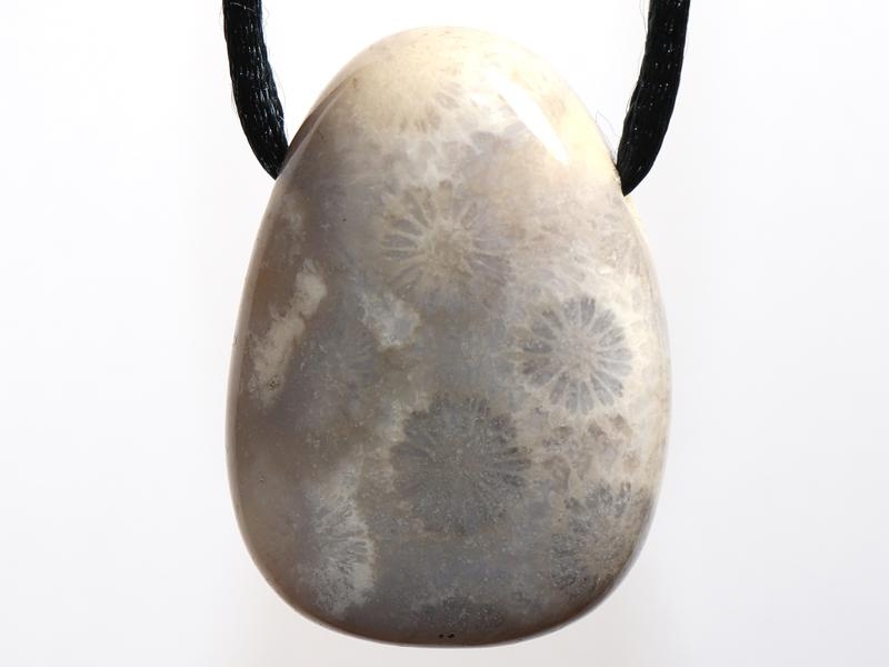 Fossilized coral on cord